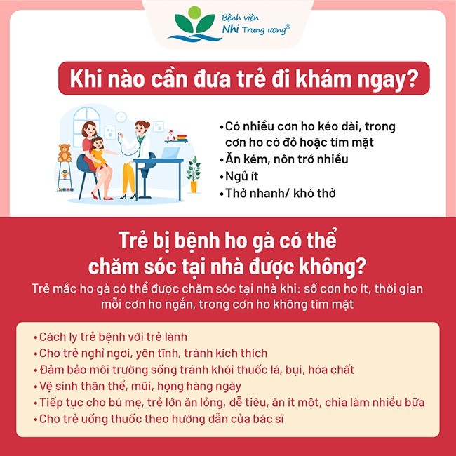 Ca mắc ho gà tăng 8 lần và những biến chứng nguy hiểm cần biết