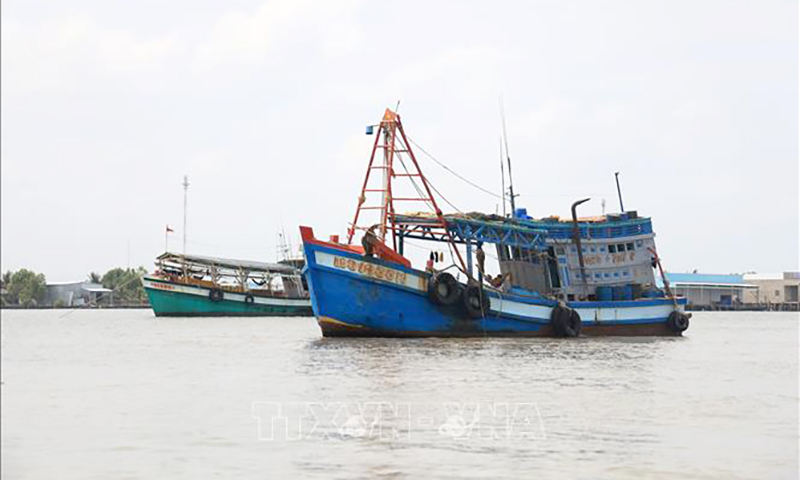 Tập trung cao độ trong công tác phát hiện, điều tra và xác minh thông tin để xử lý nghiêm minh, triệt để các vi phạm quy định về VMS. Ảnh: Hồng Đạt/TTXVN