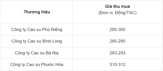 Giá cao su hôm nay 20/5/2024: Giá cao su thế giới tăng 'sốc', vượt mức 2%