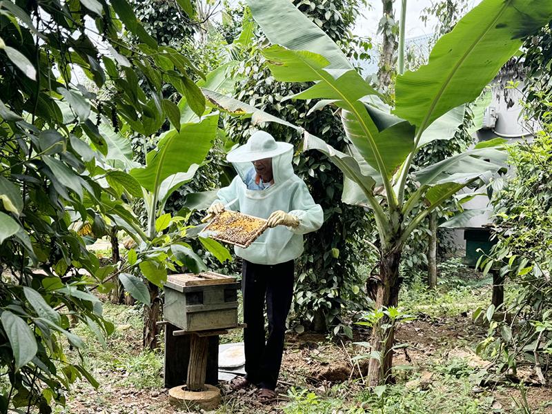 Hỗ trợ sinh kế cho người dân sống trong vùng đệm Vườn Quốc gia Phong Nha-Kẻ Bàng.