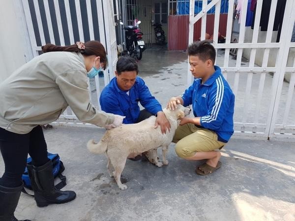 Hà Nội tăng cường các biện pháp phòng, chống các bệnh lây truyền từ động vật sang người - Tin tức sự kiện - Cổng thông tin điện tử Sở y tế Hà Nội