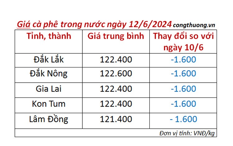 Giá cà phê hôm nay ngày 12/6/2024: