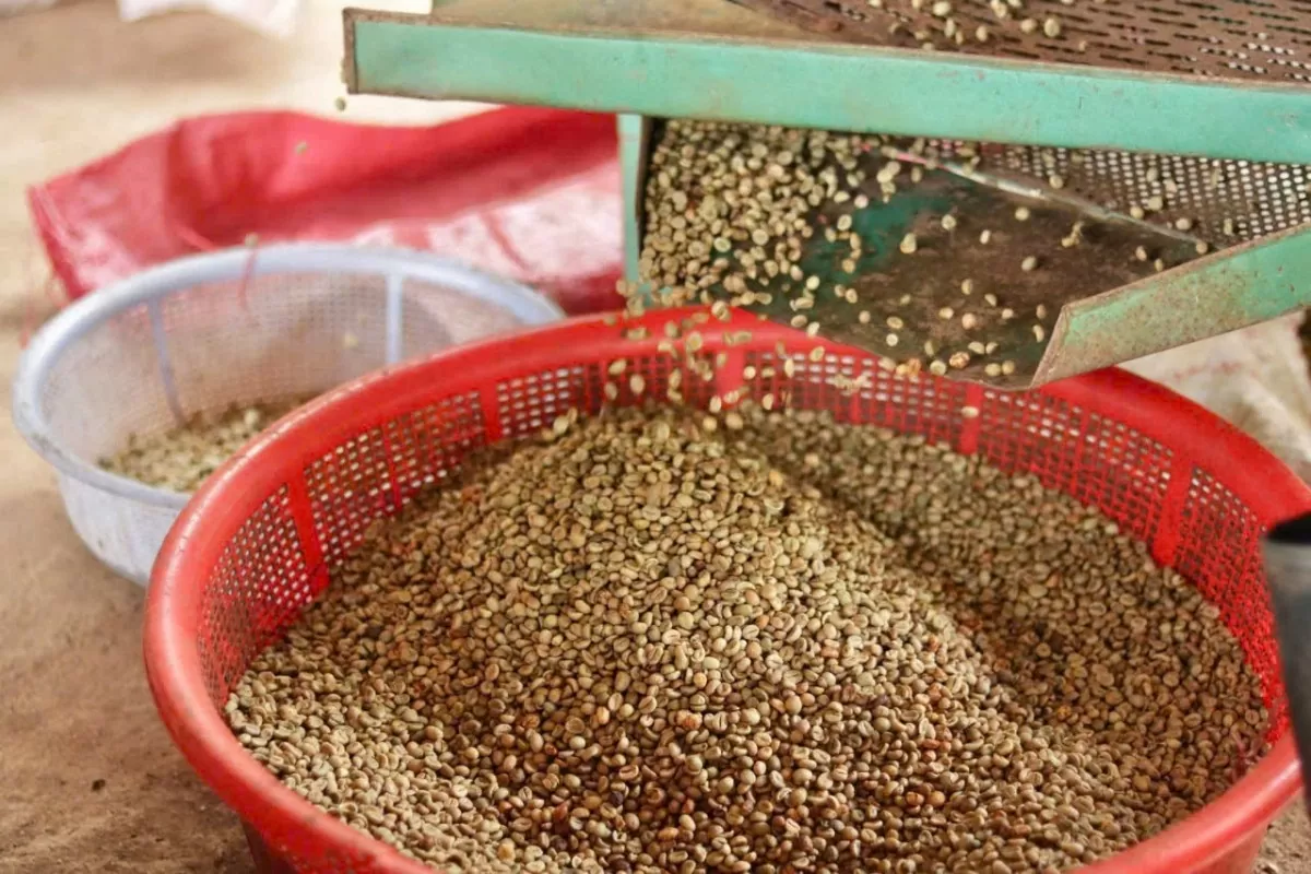 Giá cà phê hôm nay 18/12/2024: Giá cà phê trong nước tăng nhẹ Giá cà phê hôm nay 18/12/2024: Giá cà phê trong nước tăng nhẹ