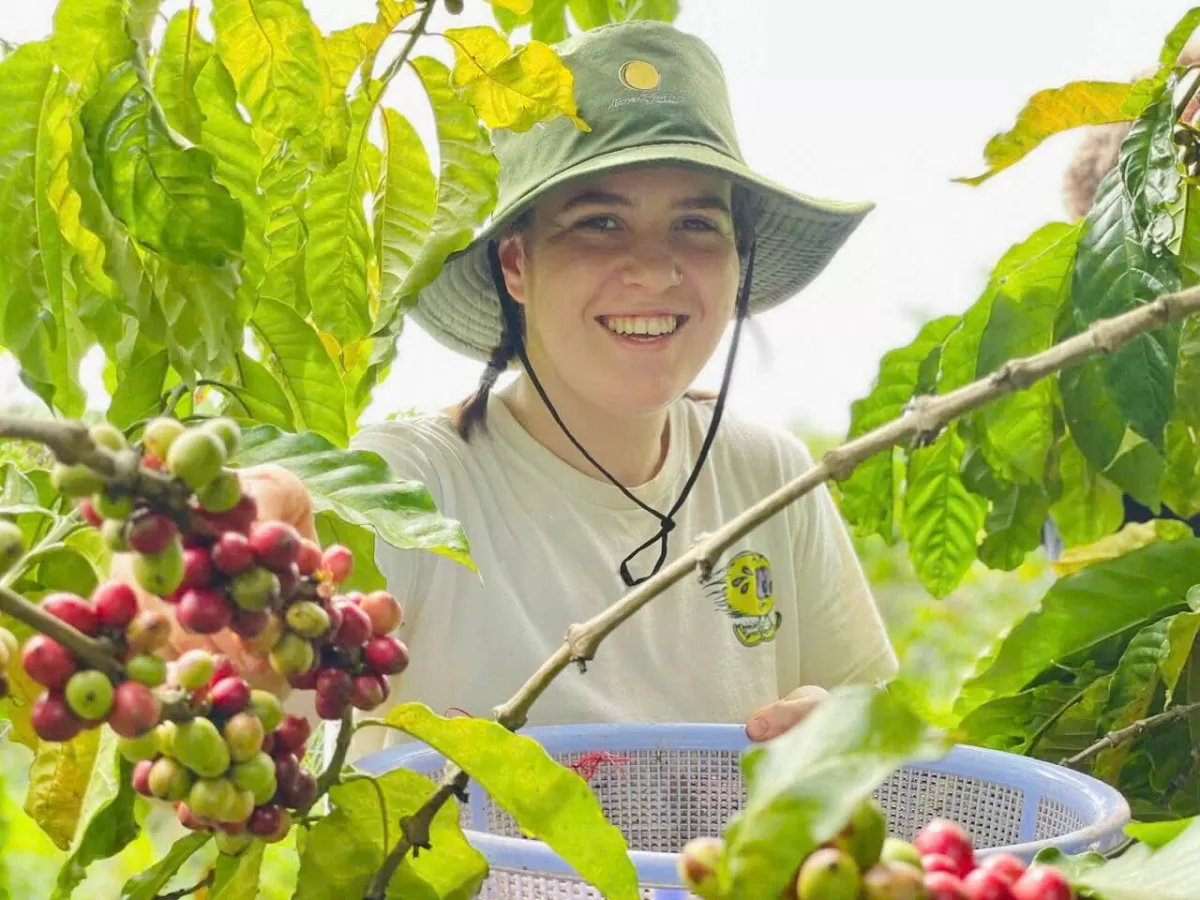 Giá cà phê hôm nay 18/12/2024: Giá cà phê trong nước tăng nhẹ Giá cà phê hôm nay 18/12/2024: Giá cà phê trong nước tăng nhẹ