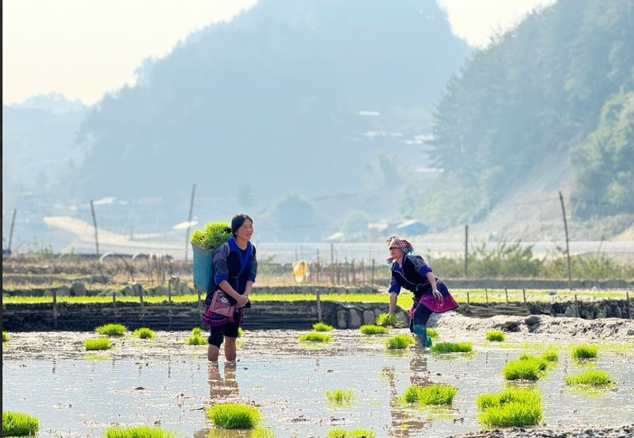 Nét đẹp lao động thường nhật của người dân. (Ảnh: A Giàng). 1000029271.jpg