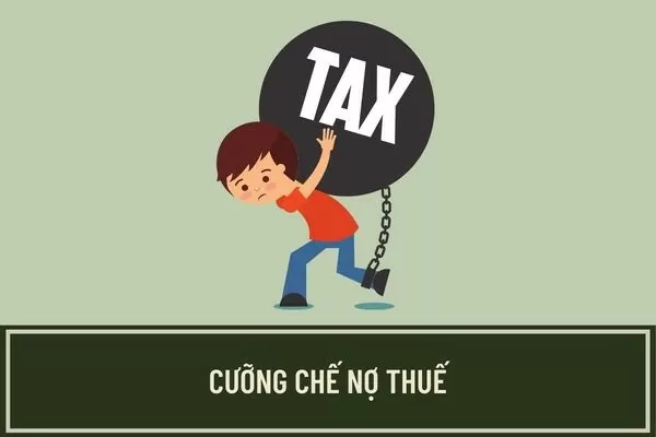 Công ty Phân lân nung chảy Lào Cai nợ thuế 19 tỷ