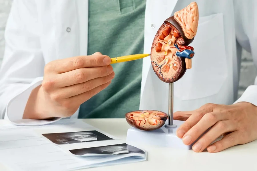 Bệnh thận là “nguyên nhân gây tử vong hàng đầu”. (Ảnh: ITN)