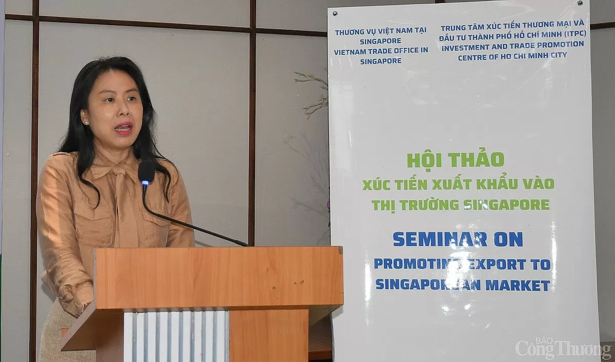 Dư địa xuất khẩu hàng hóa thị trường Singapore còn rất lớn Dư địa xuất khẩu hàng hóa sang Singapore còn rất lớn