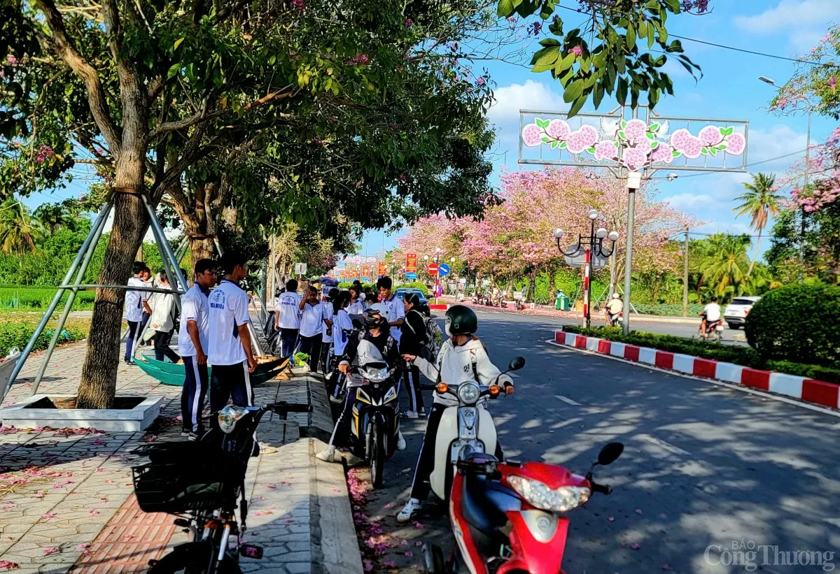 Ngắm con đường hoa kèn hồng đẹp mê hồn ở Sóc Trăng Ngắm con đường hoa kèn hồng đẹp mê hồn ở Sóc Trăng