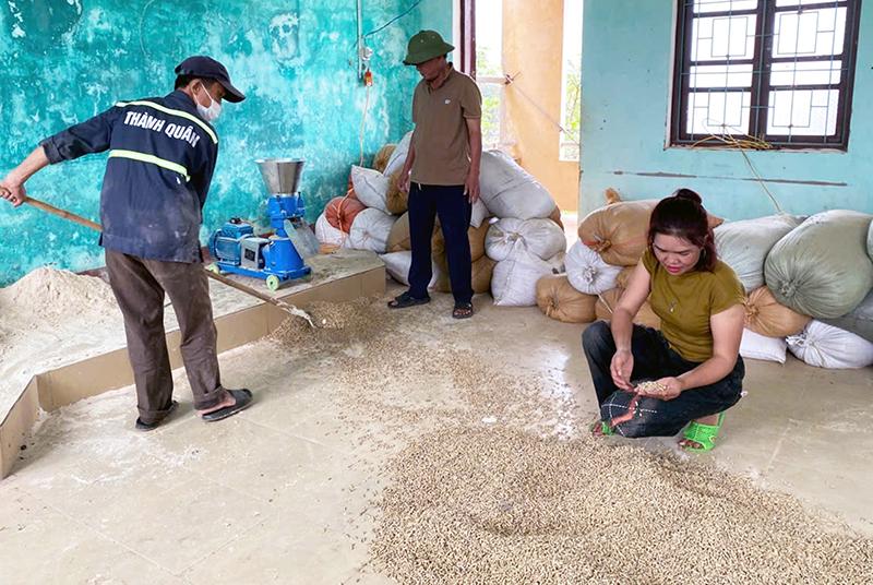 Mô hình chăn nuôi của chị Phan Thị Lương hoàn toàn không sử dụng thức ăn công nghiệp.