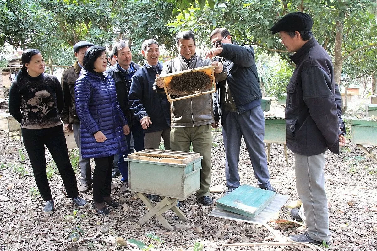 Mật ong Cao Bằng: ‘Gieo’ thương hiệu, ‘gặt’ đầu ra bền vững