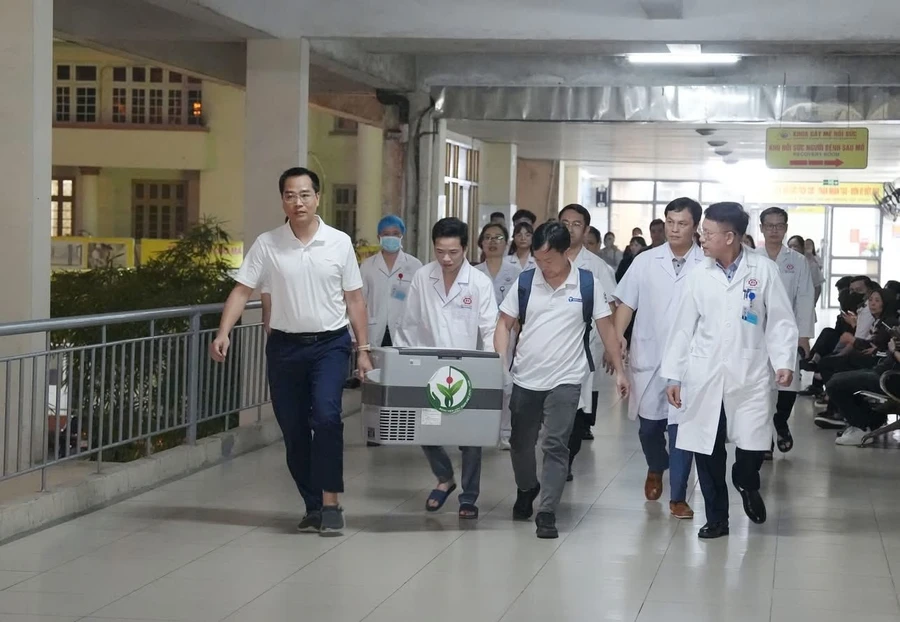 Thận được vận chuyển vào phòng mổ của Bệnh viện Đa khoa tỉnh Quảng Ninh.