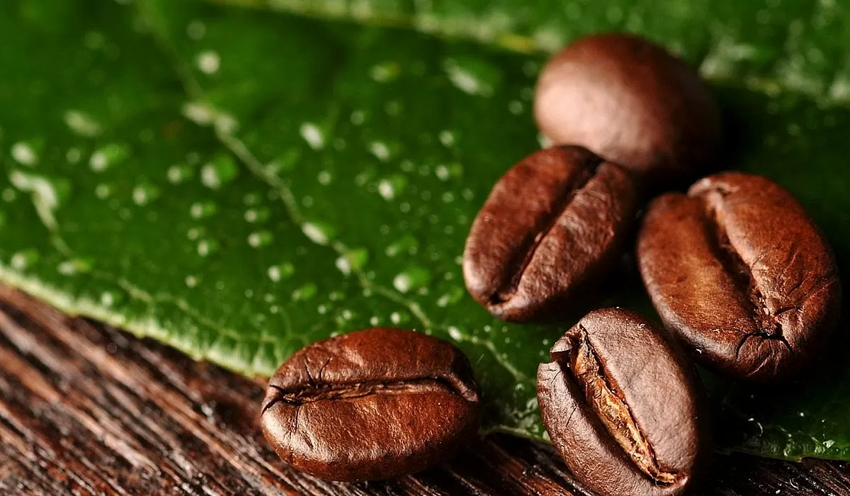 Bộ Nông nghiệp và Môi trường đặt chỉ tiêu xuất khẩu cả phê năm 2025 đạt con số 5,5 tỷ USD Bộ Nông nghiệp và Môi trường đặt chỉ tiêu xuất khẩu cả phê năm 2025 đạt con số 5,5 tỷ USD