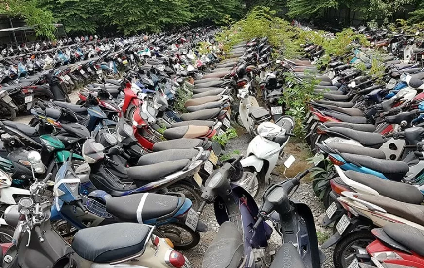 Bạc Liêu: Đấu giá 367 xe máy vi phạm bị tịch thu