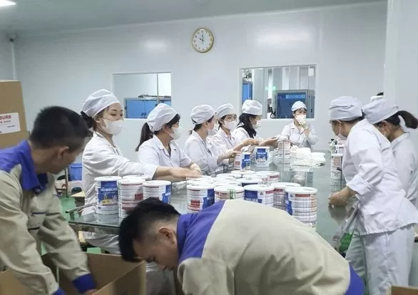 Vụ sữa giả 500 tỷ đồng: Bộ Công Thương tiếp tục rà soát, tăng cường phối hợp xử lý triệt để