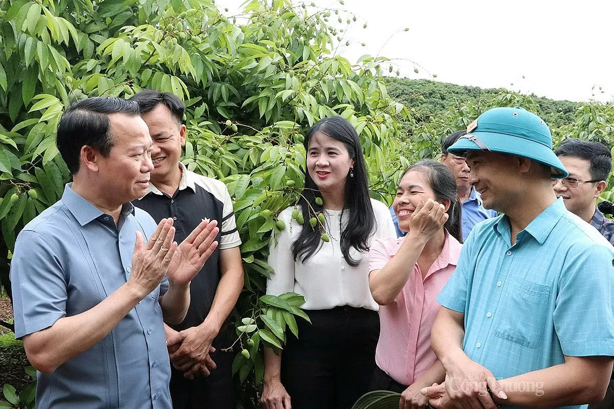 Bộ trưởng Đỗ Đức Duy trò chuyện, đồng thời gợi mở một số giải pháp sản xuất vải thiều hướng đến xuất khẩu tại xã Phúc Hòa, huyện Tân Yên, chiều 11/5. Ảnh: N.H Bộ trưởng Đỗ Đức Duy trò chuyện, đồng thời gợi mở một số giải pháp sản xuất vải thiều hướng đến xuất khẩu tại xã Phúc Hòa, huyện Tân Yên, chiều 11/5. Ảnh: N.H