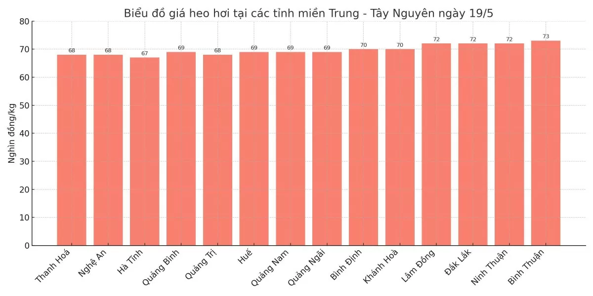 Biểu đồ giá heo hơi tại các tỉnh miền Trung - Tây Nguyên ngày 19/5.