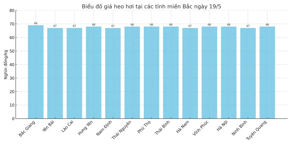 Biểu đồ giá heo hơi tại các tỉnh miền Bắc ngày 19/5.