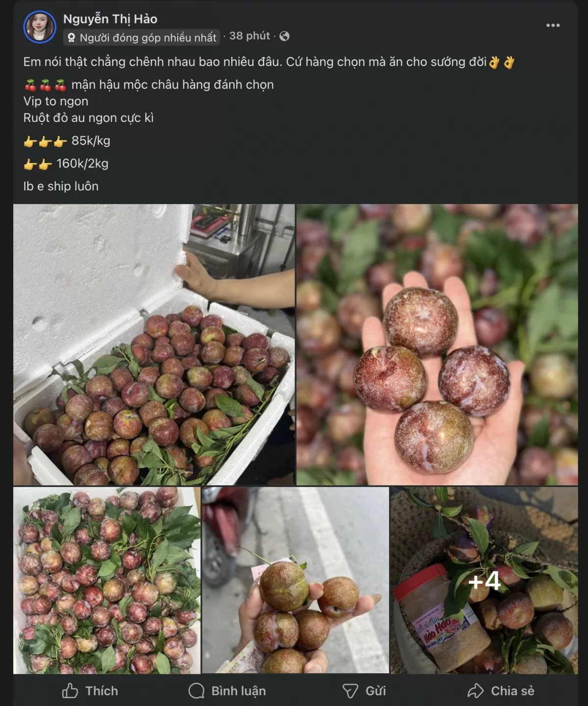 Mận hậu chính vụ hút khách, tiểu thương đua nhau 'hốt bạc' Mận hậu chính vụ hút khách, tiểu thương đua nhau 'hốt bạc'