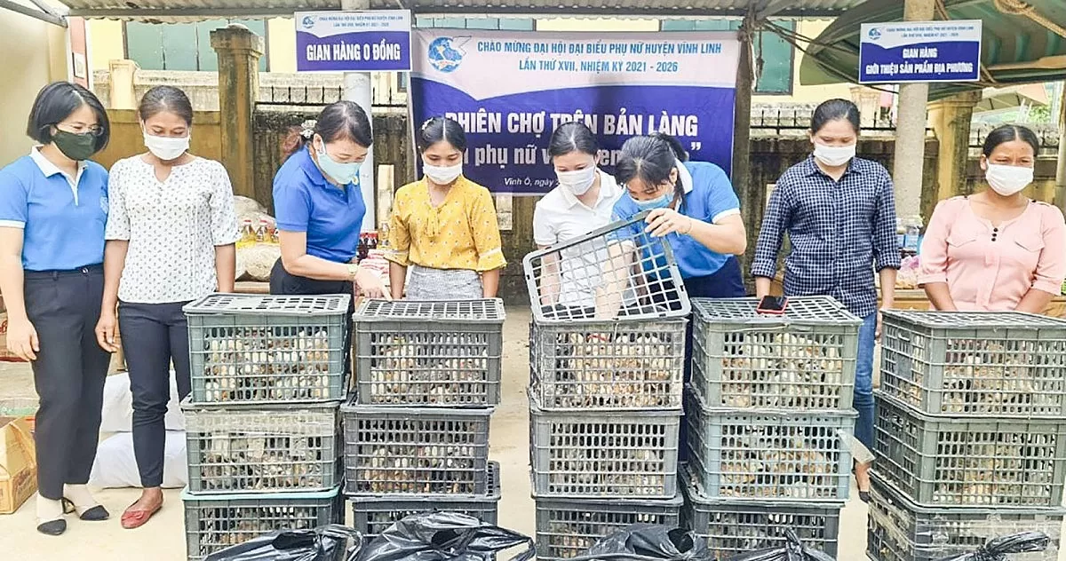 Sản vật vùng cao Quảng Trị: 'Đánh thức' những giấc mơ sau lưng núi Sản vật vùng cao Quảng Trị: 'Đánh thức' những giấc mơ sau lưng núi