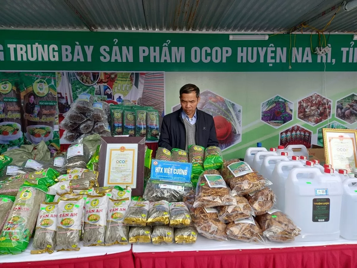 Bí xanh thơm, rượu men lá Bắc Kạn và hành trình thoát kiếp ‘hàng thô’ Bí xanh thơm, rượu men lá Bắc Kạn và hành trình thoát kiếp ‘hàng thô’