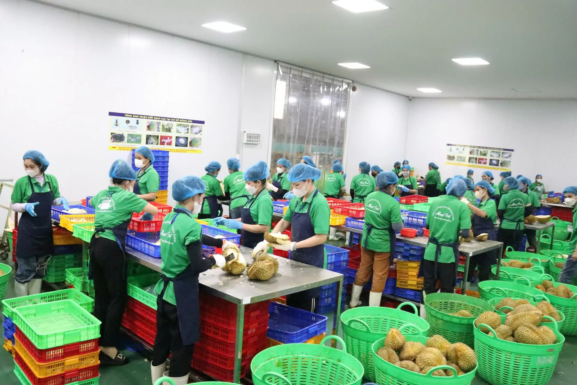 Doanh nghiệp ghi nhận các chính sách hỗ trợ tận dụng FTA