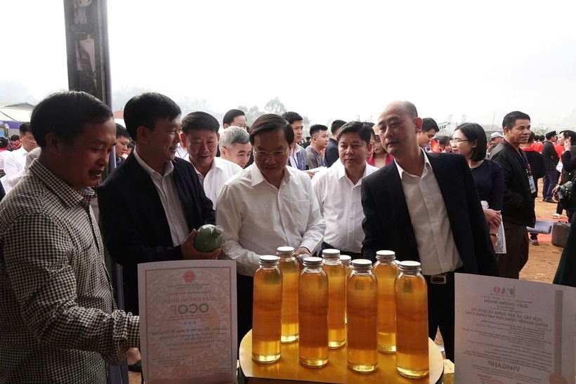 Sản phẩm mật ong Mù Cang Chải được nhiều khách hàng quan tâm. Ảnh: Thanh Tiến