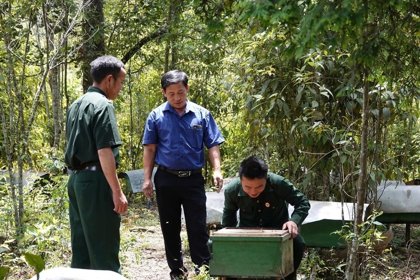 Với hệ sinh thái rừng phong phú, nghề nuôi ong lấy mật phát triển mạnh ở huyện Mù Cang Chải. Ảnh: Thanh Tiến