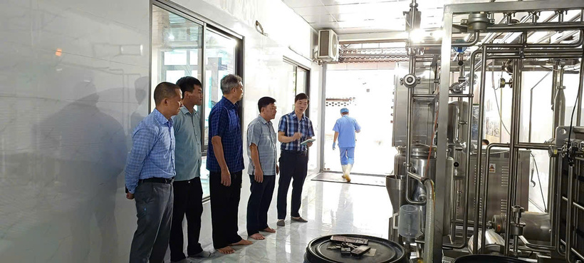 Với sự hỗ trợ của Khuyến công Vĩnh Phúc, Công ty Cổ phần Chăn nuôi và Chế biến sữa Vĩnh Thịnh định hướng đến năm 2027 sẽ nâng công suất chế biến lên 2,5 tấn sữa nguyên liệu/ngày. Ảnh: Thu Thủy