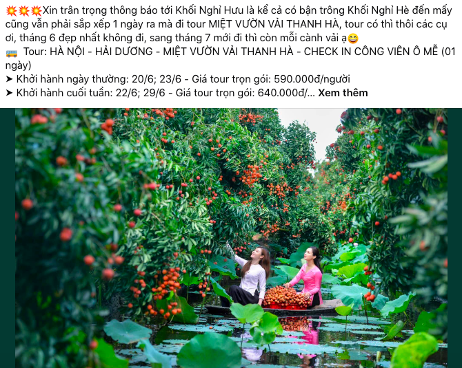 Tour trải nghiệm đáp ứng mọi nhu cầu của khách hàng. Ảnh chụp màn hình