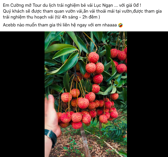 Nhiều khách hàng bất ngờ với tour 0 đồng. Ảnh chụp màn hình