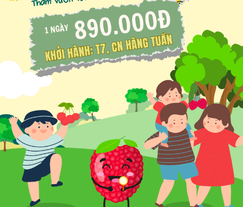 Tour vườn vải với đa dạng mức giá. Ảnh chụp màn hình