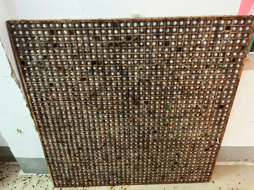 Những khung gỗ có kích thước khoảng 1m2, được chia thành nhiều ô vuông nhỏ đều nhau để tằm phát triển kén