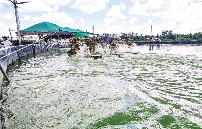 Hỗ trợ sản xuất, phát triển nông nghiệp chất lượng cao