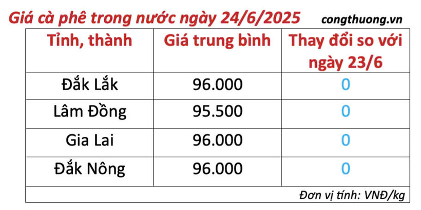 Bảng giá cà phê trong nước cập nhật sáng ngày 24/6/2025