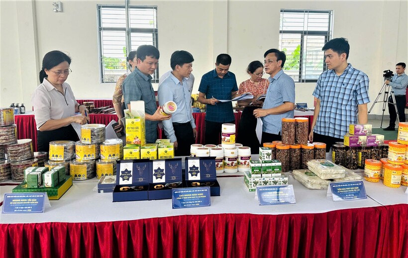 Ban giám khảo chấm điểm trực tiếp, đánh giá sản phẩm qua các tiêu chí chất lượng, mẫu mã, khả năng cạnh tranh. Ảnh: Trọng Tùng