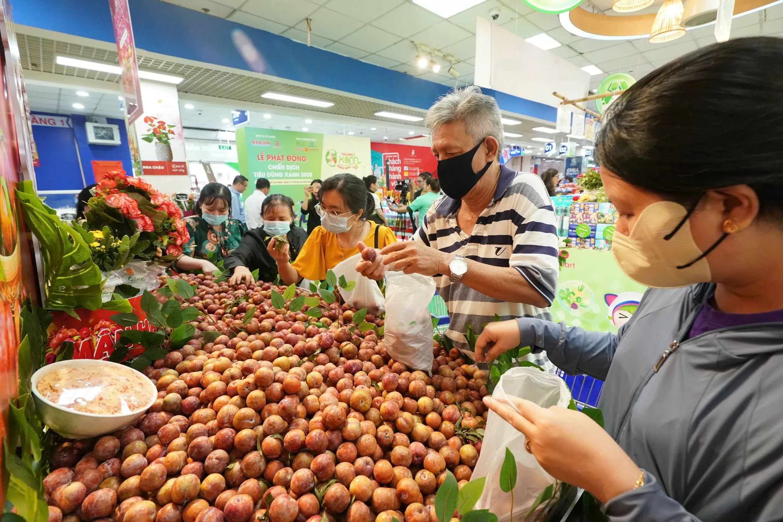 Bán lẻ hiện đại ‘cõng’ mận Sơn La vào phố thị Mận hậu Sơn La mở rộng thị phần nhờ bán lẻ hiện đại