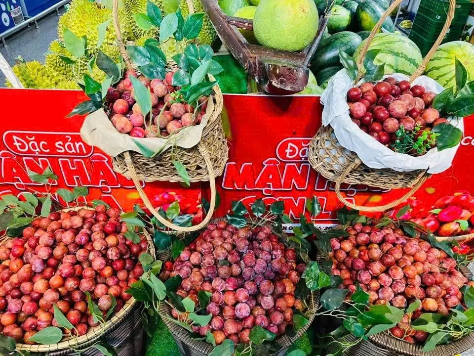 Bán lẻ hiện đại ‘cõng’ mận Sơn La vào phố thị Mận hậu Sơn La mở rộng thị phần nhờ bán lẻ hiện đại