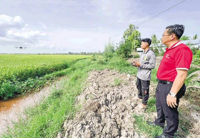 Tái khởi động bảo hiểm nông nghiệp theo chuỗi giá trị ngành hàng