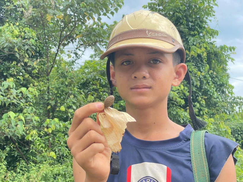 Những em nhỏ cũng tranh thủ nghỉ hè theo chân cha mẹ đi tìm ươi bay. Ảnh: Nguyễn Dương