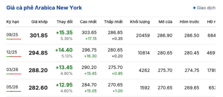 Giá cà phê New York sáng ngày 15/7/2025