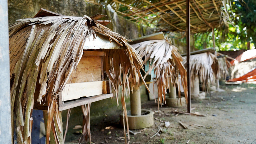 Người dân luôn tỉ mỉ từ khâu chọn giống, làm tổ, chăm sóc đến thu hoạch và bảo quản mật ong. Ảnh: Phúc Sơn
