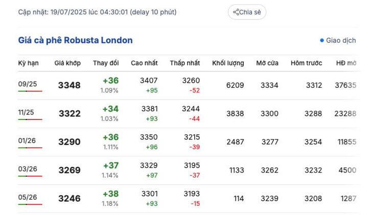 Giá cà phê Robusta London sáng ngày 19/7/2025
