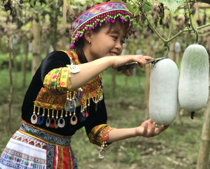 Sản phẩm của bà con dân tộc thiểu số tốt về chất nhưng chưa nhiều về lượng. Ảnh minh họa