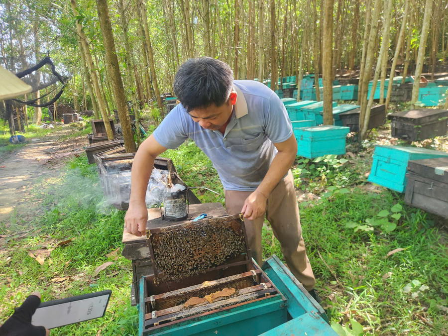 Anh Đỗ Đức Sang đã hơn 10 năm gắn bó với nghề nuôi ong du mục.