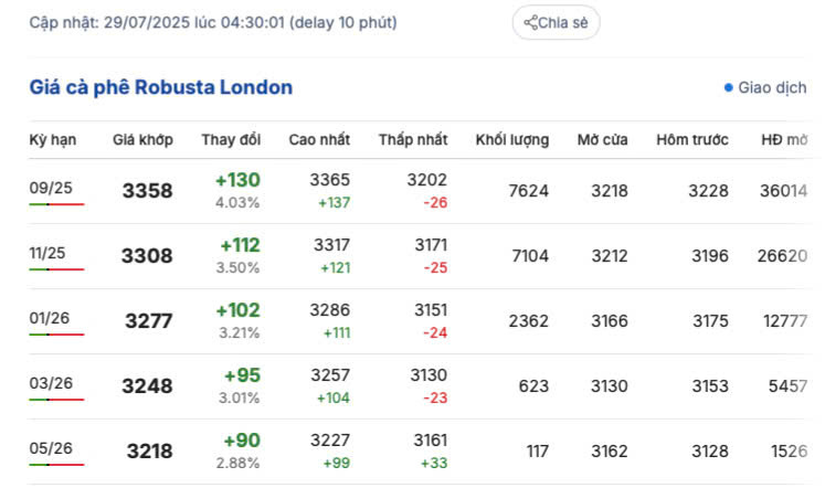 Giá cà phê Robusta London sáng ngày 29/7/2025