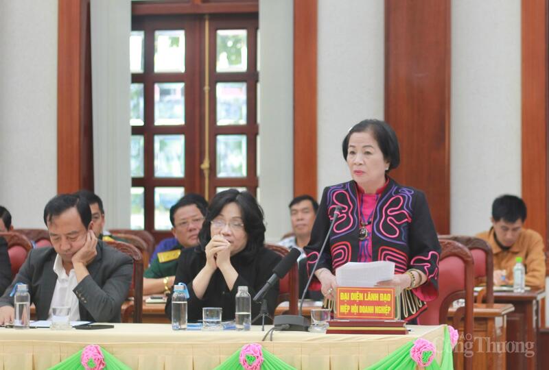 Bà Nguyễn Thị Sen, Chủ tịch Hiệp hội Doanh nhân tỉnh Gia Lai nêu kiến nghị tại buổi đối thoại