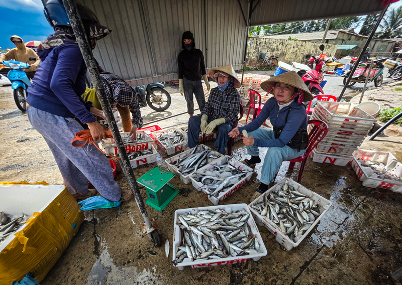 Hải sản tươi rói được người dân đánh bắt sau những ngày dài nằm bờ nghỉ bão