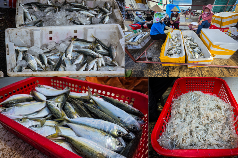 Hải sản chủ yếu là các loại cá, tôm...