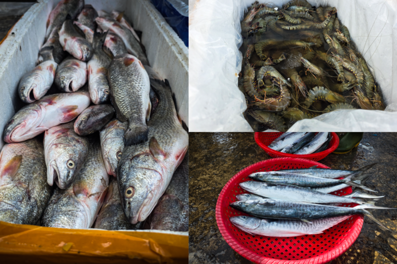Những mẻ cá, tôm tươi rói vừa đánh bắt được tiểu thương bốc dỡ lên bờ